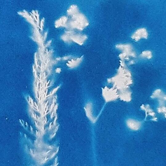 Sun Art Workshop: Cyanotype — September 12 - logo